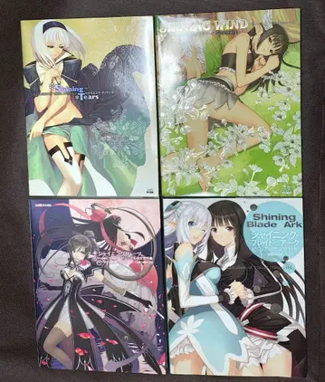 샤이닝 티어스 윈드 하츠 아크 브레이드 설정 자료집