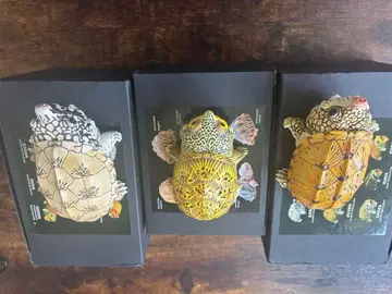 시크릿 하라가케 자이마스 살빈 거북이 피규어 동물 혹성?