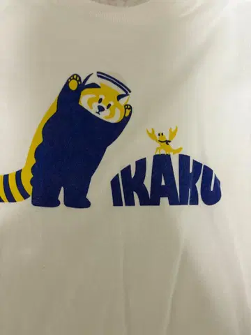 그라니프 이카쿠 고베 셔츠