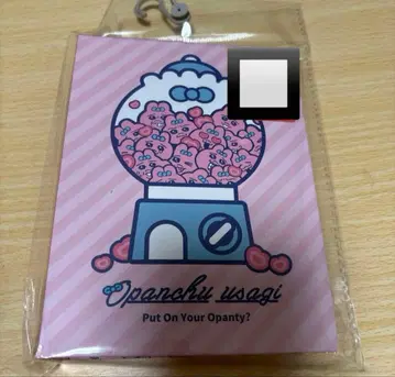 시마무라 빤쮸토끼 프로필북 신상