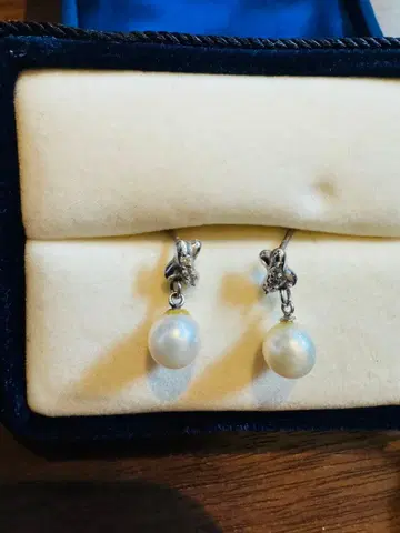 반돔 아오야마 펄 귀걸이