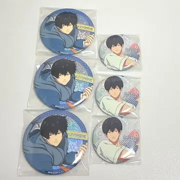 망각 배터리 청봉엽류화 캔뱃지