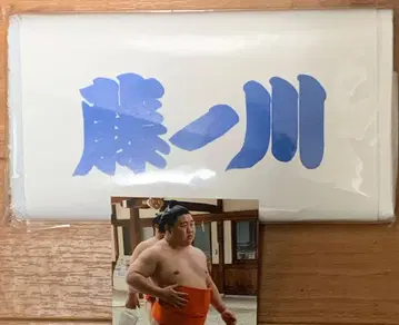 스모 후지노가와 정품 / 시코나 응원 타월 <새상품> & 브로마이드 포함