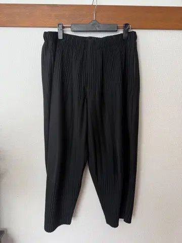 옴므 플리세 이세이 미야케 플리츠 팬츠