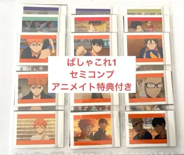 하이큐 파샤코레