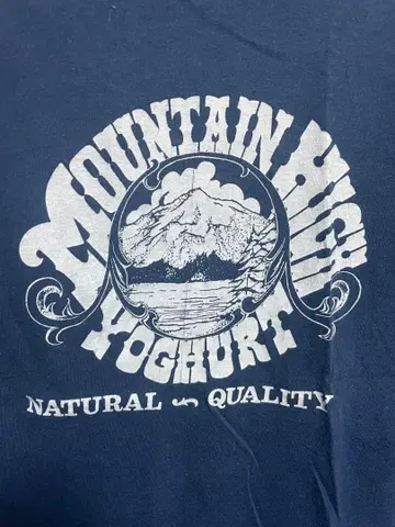 80s Hanes 빈티지 T셔츠 요구르트