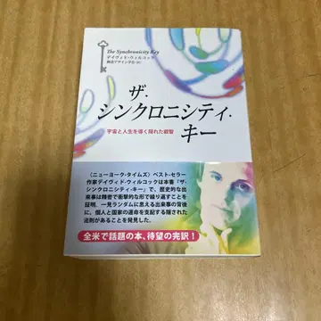 더 싱크로니시티 키 : 우주와 인생을 이끄는 숨겨진 지혜