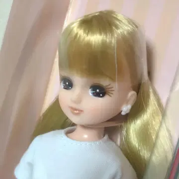 리카짱 캐슬 2025년도판 고베 산노미야 아이콘 모델 리카짱 엄선