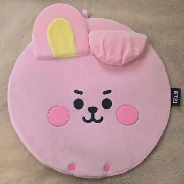 BTS BT21 JUNGKOOK COOKY 부채 케이스