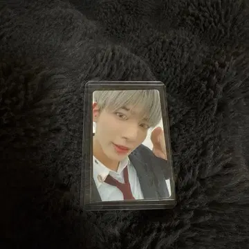 TXT 태현 Chaotic Wonderland 트레이딩 카드