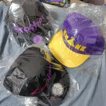 ENDRECHERI 도모토 츠요시 캡 모자 바이컬러 Erother