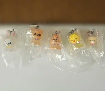 skzoo 메지루시 액세서리 5개 세트