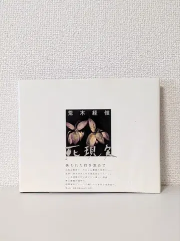 아라키 토시노부 Nobuyoshi Araki 사현실