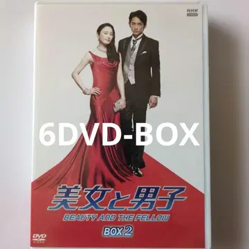 미녀와 남자 BOX2 6DVD 나카마 유키에 마치다 케이타 요시오카 리호