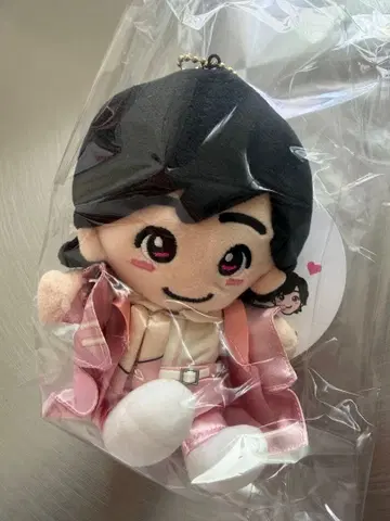 미치에다 슌스케 나니와단시 봉제 인형 치비누이