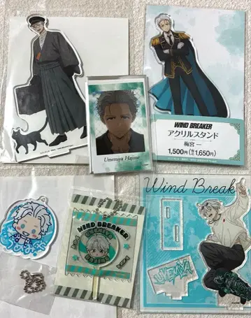 윈드 브레이커 우메미야 잇치 묶음 판매