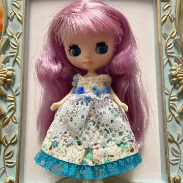 미니 브라이스 커스텀