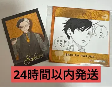 윈블전 사쿠라 하루카 코스터 & 파샤코레