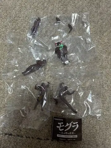 [ 최종 가격 ] 두더지 흙 속의 진실