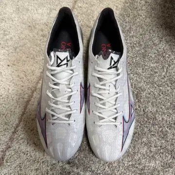 미즈노 알파 ELITE 26.0cm