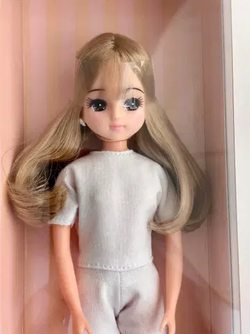 2025년도판 일본교 아이콘 모델 리카짱 V-772