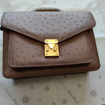 브라운 핸드백 플랩식
