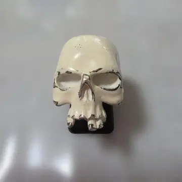 JAM HOME MADE 화이트 코팅 스컬 반지 14호 레어템