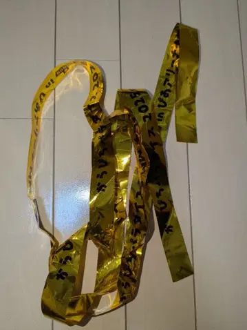 카라피치 컬러풀 피치 파라피치 2025년 금 테이프 2매 세트