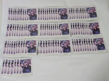 세나 이즈미 유메노사키 파샤츠 Action 97장