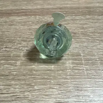 연하준 돕쇼 반지 라이트 2024