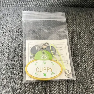 도쿄 디즈니 리조트 25주년 네임택