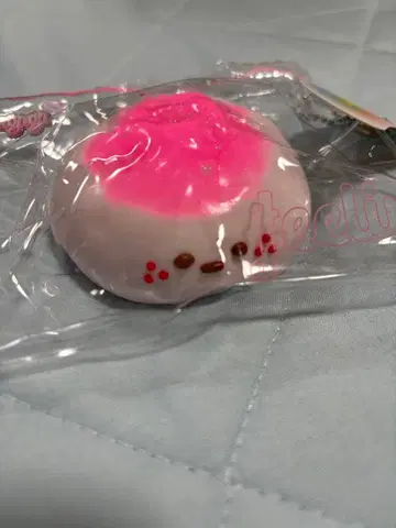 스퀴즈 ANGAGA 앙가 가