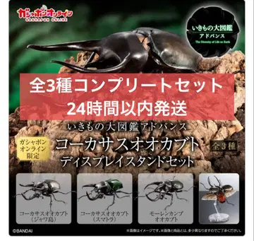 [온라인판] 생물대도감 어드밴스 코카서스장수풍뎅이 전 3종 세트