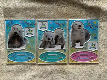 [도바 수족관] 아크릴 스탠드 키라짱 메이짱 랏코 3개 세트