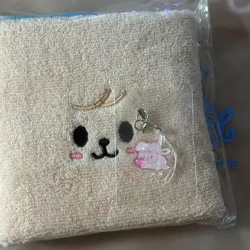 스키즈 팬미팅 입장 혜택 타월 키링 승민 퍼핌 puppyM