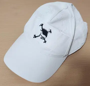 오클리 스컬 캡