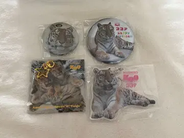 구시로시 동물원 아무르 호랑이 코코아 타이거 굿즈