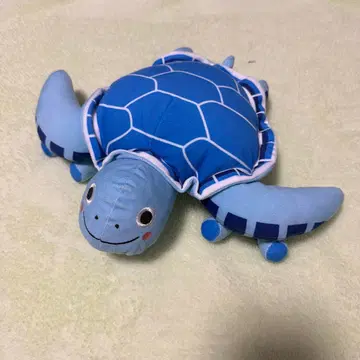 선착순 ANA 거북이 인형