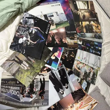 초레어 [backnumber] FC 뉴스레터 #1~#22