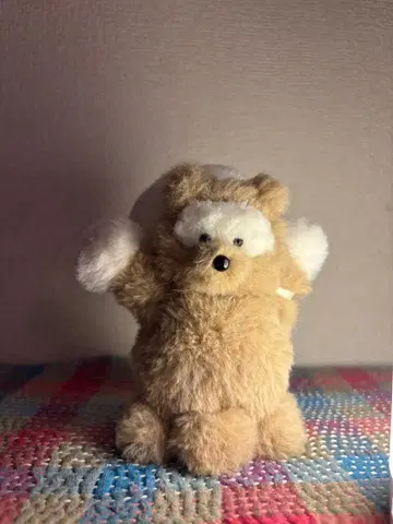 시가라키야키 너구리 공상 아파트 카네히라