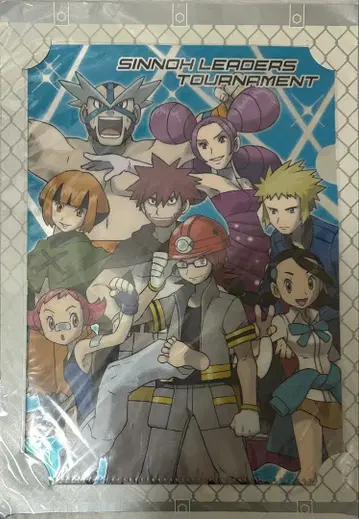 포켓몬 센터 포켓몬 월드 토너먼트 신오 리더즈 미개봉 새상품