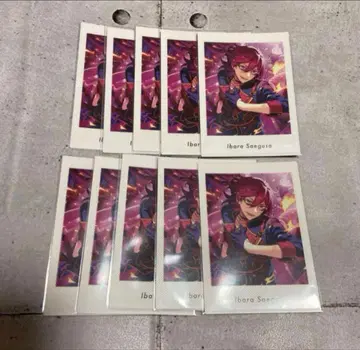 사에구사 이바라 파샤츠