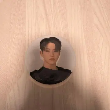 SEVENTEEN FOLLOW JAPAN 호시 캔뱃지