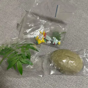 분재 3 지라치