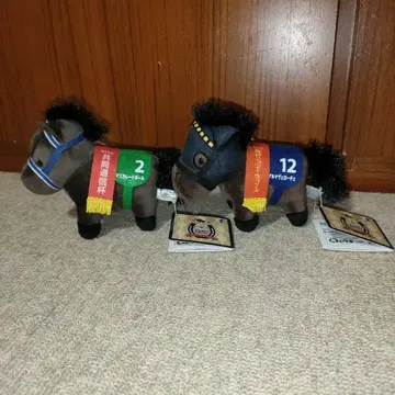 서러브레드 컬렉션 마스커레이드 볼 알마 베로체