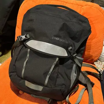 Patagonia Critical Mass Pack 백팩