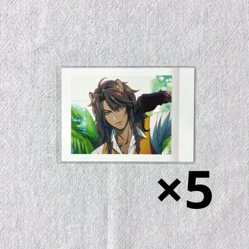 트위스테 더 애니메이션 파샤코레 레오나