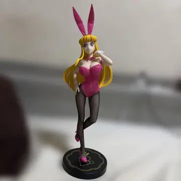 코치카메 아키모토 레이코 BiCute Bunnies 피규어