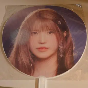 하영 Hayoung fromis_9 부채 2025 월드 투어