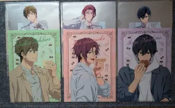 Free! 클리어 파일 마코토 린 이쿠야 오케스트라 콘서트 로손